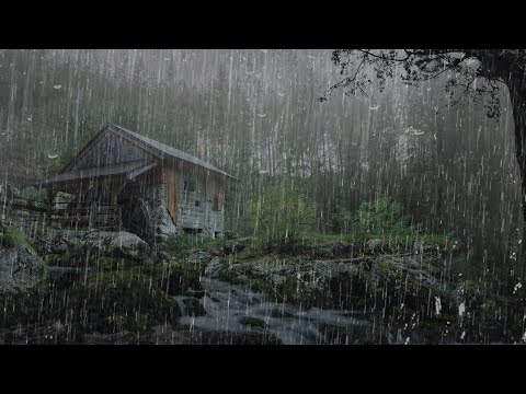 Elimina el Insomnio con Fuertes Lluvias en el Techo de Metal en Bosque Nublado por la Noche - ASMR