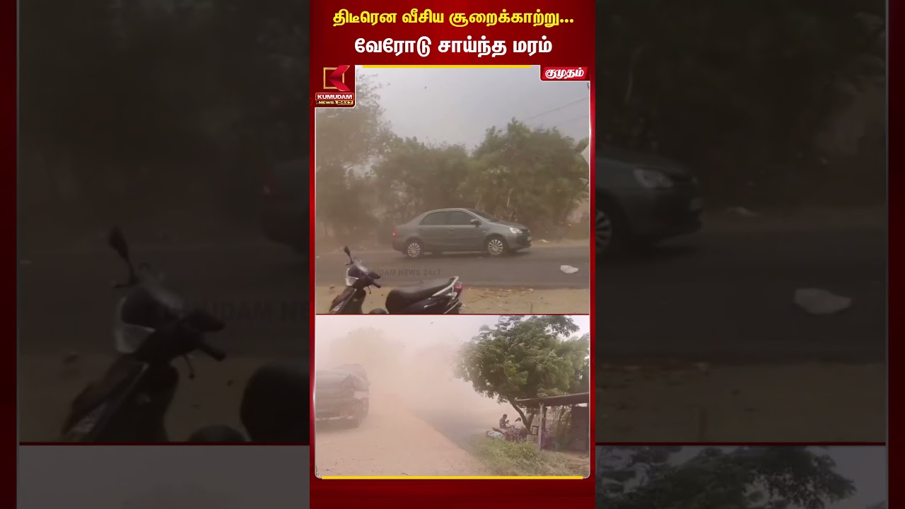 திடீரென வீசிய சூறைக்காற்று...வேரோடு சாய்ந்த மரம் | Salem | Hurricane | Kumudam News