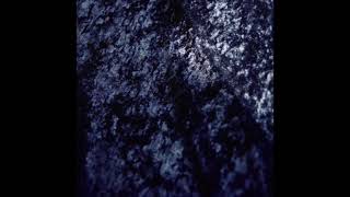 Fort Romeau - Insides (2015)