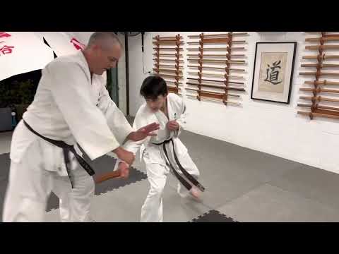 Yoshinkan Sunshine Coast Dojo | Aikido Class Reflection 18/04/23 - 合気道 養神館サンシャイン・コースト- 稽古 - 18日04月