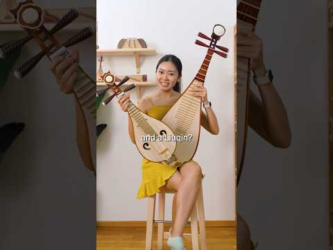 Liuqin is not a small Pipa #pipa #liuqin