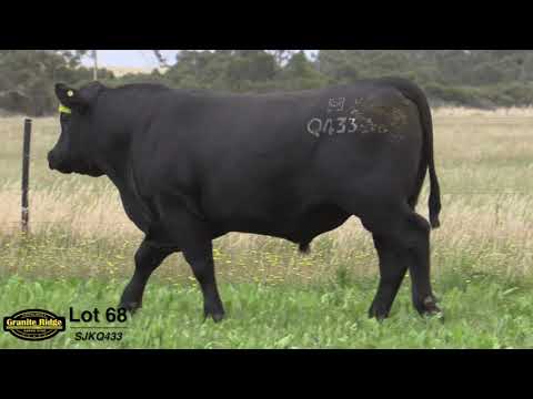 GRANITE RIDGE EVA Q433