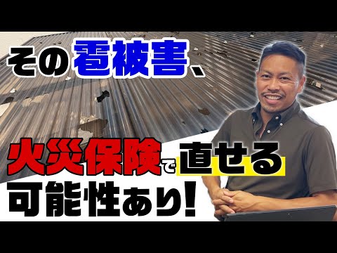 落ち葉拾い 2022