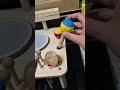 Classic Cantabile MT-121 12 in 1 Tavolo Musicale a Percussione thumbnail 11