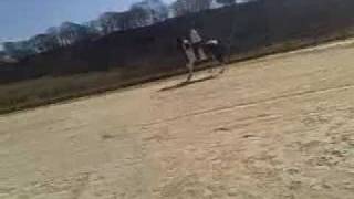 You've Changed My Whole Life ; 