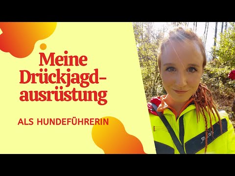 Meine Drückjagdausrüstung