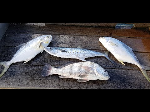 Surf Fishing | POMPANO! MACKEREL! BLACK DRUM!