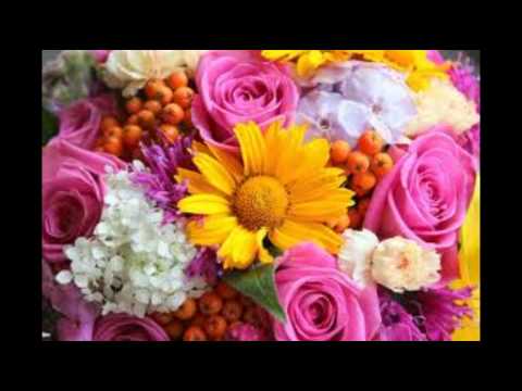 Miruna Pinzaru - Tot ce e pe lume