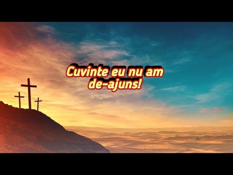 Cuvinte eu nu am de-ajuns - Frații Wagner 2020