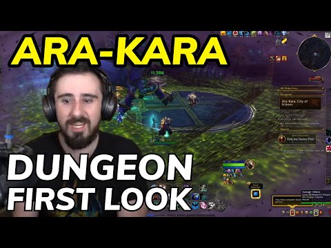 Ara-Kara War Within Dungeon First Look