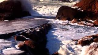 Poster - Claudio Baglioni