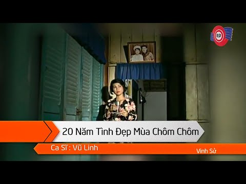 Karaoke 20 Tình Đẹp Mùa Chôm Chôm - Vũ Linh - Beat Chuẩn