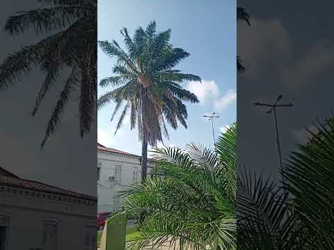 Centro do Guilherme Maranhão 