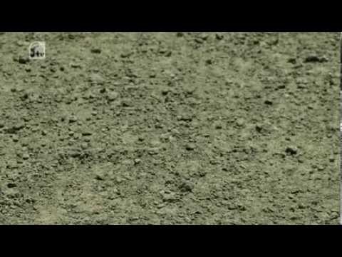 RTV over perrons Station Turnhout