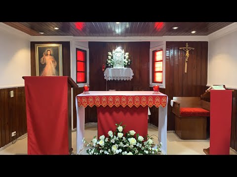 Solemnidad de San Pedro y San Pablo, Apóstoles - Padre Teófilo Rodríguez