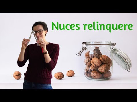 Latine loqui || Latin phrases || Nuces relinquere