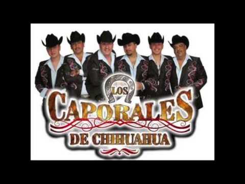 Los Caporales De Chihuahua El Manicero Y General Quevedo