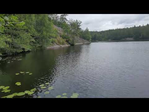 SKÄRSJÖN - norra sidan - KALLINGE - 2022-08-07 - BLEKINGE - Huawei P40 PRO Plus