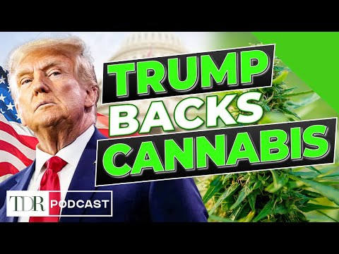 Trump Endorses Cannabis in Truth Social Video | TDR Cannabis in 5