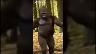 New Latest Funny Video|| Must Watch Funny Monkey Dance||