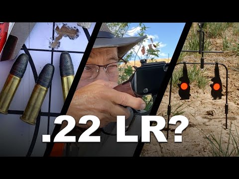 .22 Long Rifle - Wofür sind sie gut?