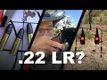 22 Long Rifle Wofür Sind Sie Gut