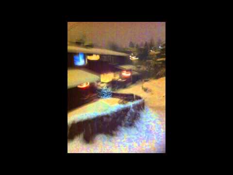 Misha Alperin - Solo