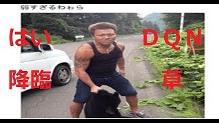ウインカー出さずに右折左折繰り返すＤＱＮ