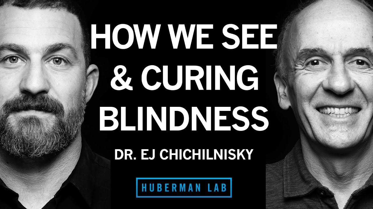 Dr. E.J. Chichilnisky: How the Brain Works, Curing Blindness & How to Navigate a Career Path