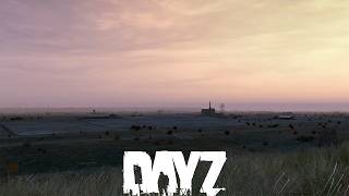 "Stray" - DayZ Adventures With Random Survivors
