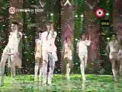 SS501 MnetCountdown Comeback Stage