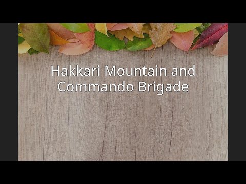Hakkari Mountain and Commando Brigade