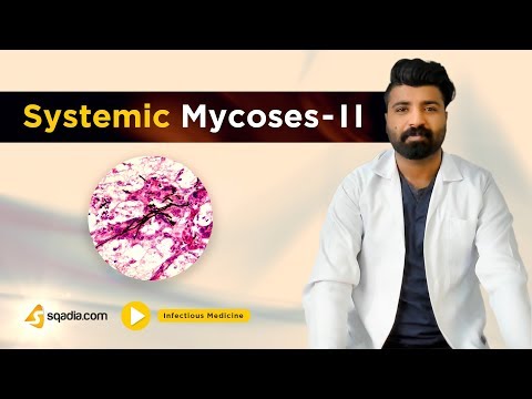 Urológiai betegségek - Urológia | Med-Aesthetica, A péniszből a nyomás gyenge