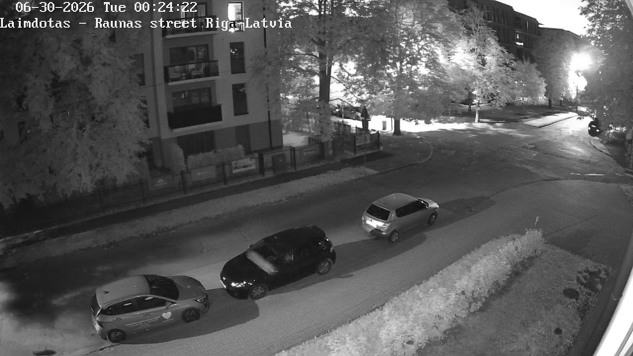 Live webcam view of Raunas Street Corner Live View
