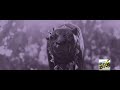 Rang Tulu Movie Song Bala Bala