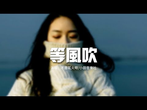 不是花火呀 - 等風吹『風一吹，你像顫抖蝴蝶翩翩煽動了情節。』【動態歌詞MV】