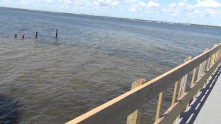 preview picture of video '7 17 14 Fishing and Crabbing 14th Avenue Dock Seaside Park'