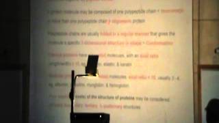 Dr.Rasheed [Amino Acids and Protiens] 05/12/2013