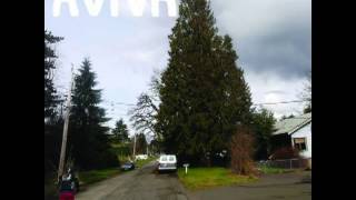 RVIVR - Elizabethan Collar (by Jimbo)