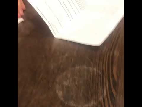 Наталья Корякина написала заявление в полицию