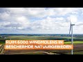 Veel windmolens in beschermd natuurgebied: 'Dit heeft slechte gevolgen voor de biodiversiteit'