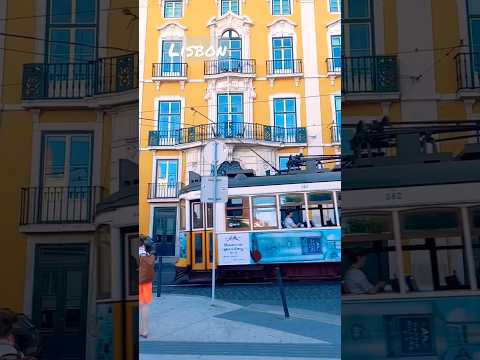 Lisboa incrível #lisboa #shorts #lisbon #portugal #lisbonne