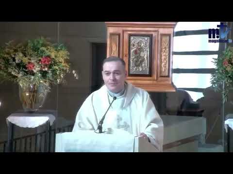 Homilía| Memoria de San León Magno, Papa y Doctor de la Iglesia 10.11.2025|Pbro. Javier Martín FM|