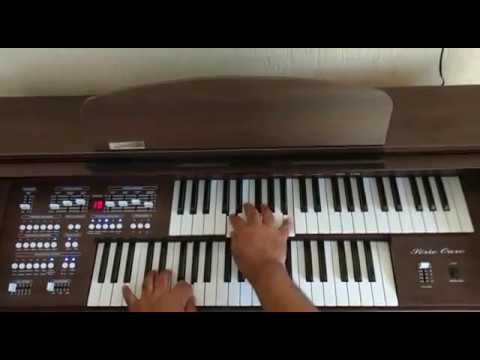 Órgão Eletrônico Acordes 2D Premium - Loja Teclasom