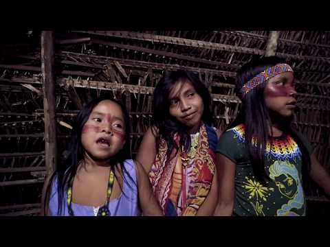 Eskawatã Kayawai  Festival in the Forest - Ninawa Pai da Mata & Txai Vinicius - MappingMedicine#21