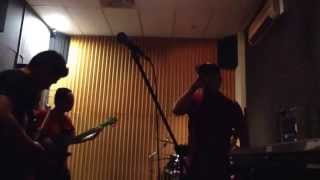 SWS - bionic jive ricochet cover