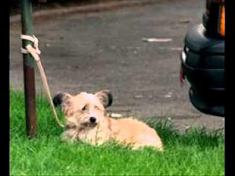 au bout de la corde.wmv