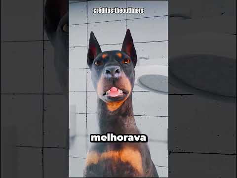 PORQUÊ CORTAVAM AS ORELHAS DOS CÃES?🤔