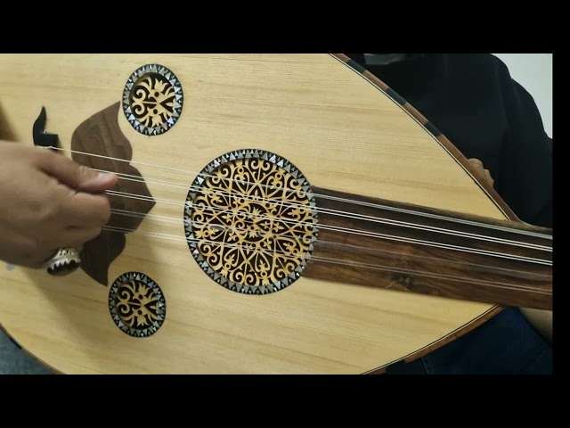 عود موسيقي - شريف حجاج