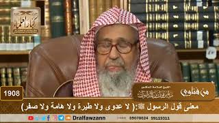 1908 - معنى قول الرسول ﷺ:( لا عدوى ولا طيرة ولا هامة ولا صفر) - الشيخ صالح الفوزان image